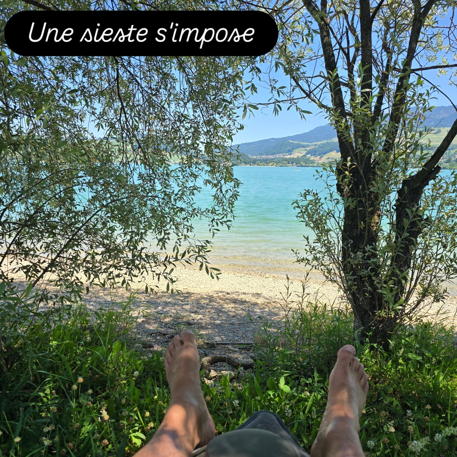 Image de profil ou galerie de Yvi74