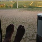 IMG_20250816_195713626