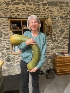 2754dda5-bdf5-49fc-92b3-d6fc56884708